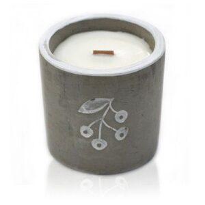 Med Concrete Soy Candle - Berrys - Juniper & Sweet Gin